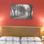 Rio Riaza Hotel 3*