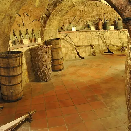 Rio Riaza Отель Милагрос