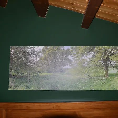 Отель Rio Riaza 3*