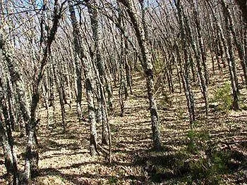 Rio Riaza 3* Milagros