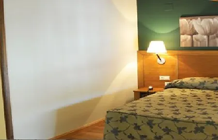 Hotel Rio Riaza 3*
