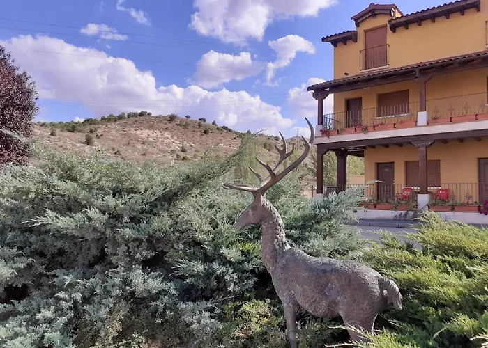 Hotel Rio Riaza