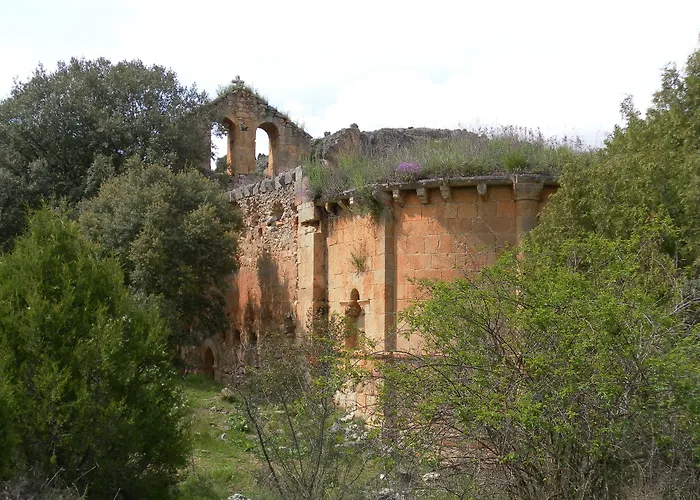 Rio Riaza 3* Milagros