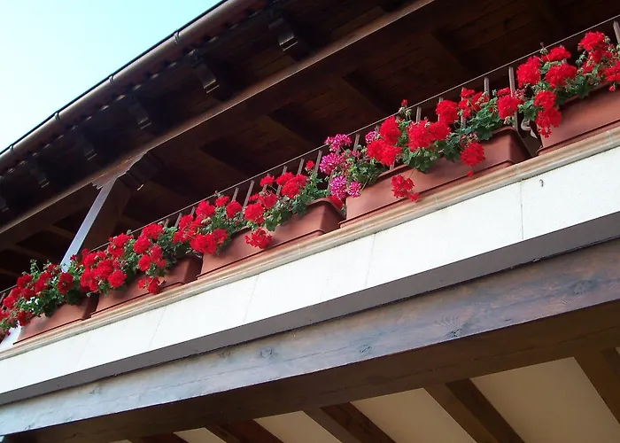 Rio Riaza Hotel Milagros